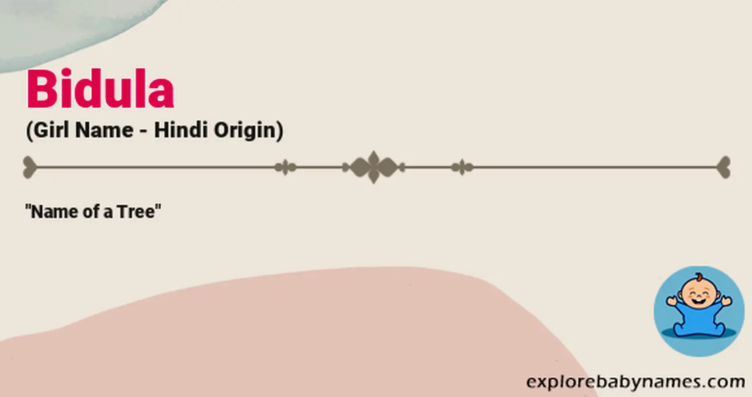 Meaning of Bidula