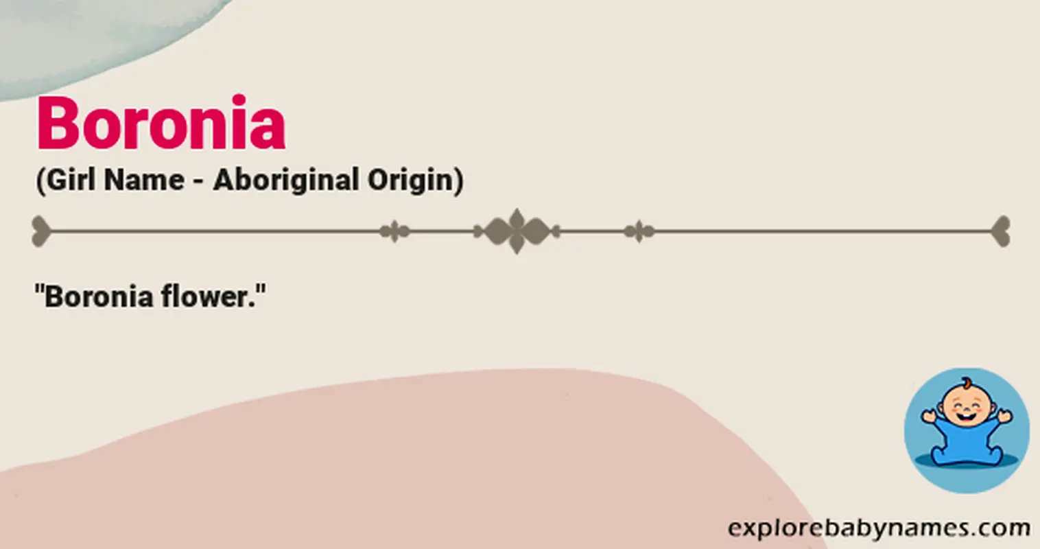 Meaning of Boronia