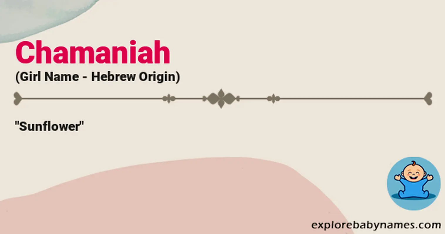 Meaning of Chamaniah