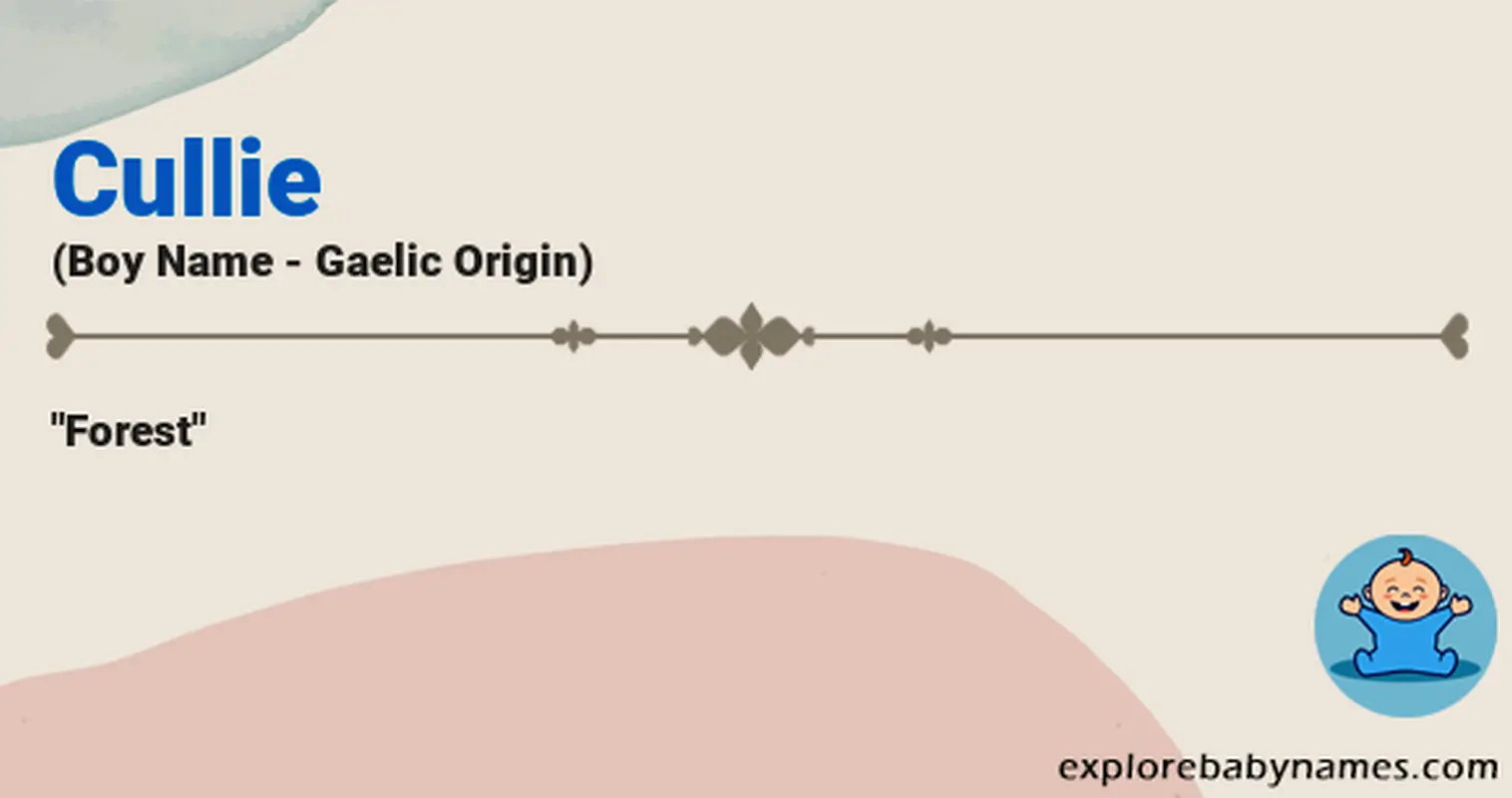 Meaning of Cullie