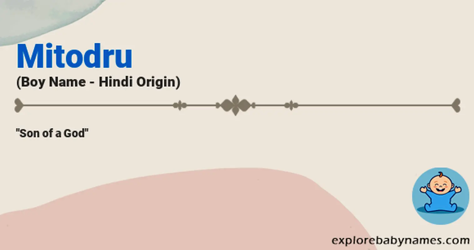 Meaning of Mitodru