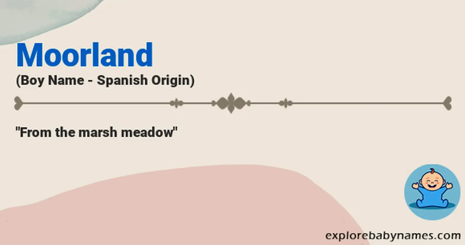 Meaning of Moorland