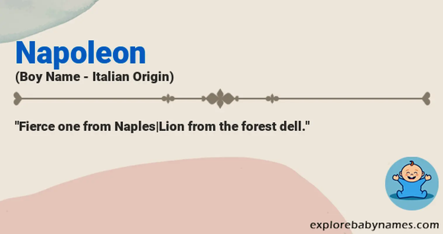 Meaning of Napoleon