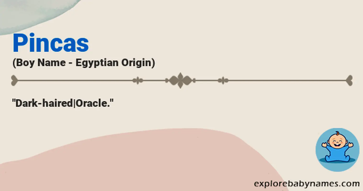 Meaning of Pincas