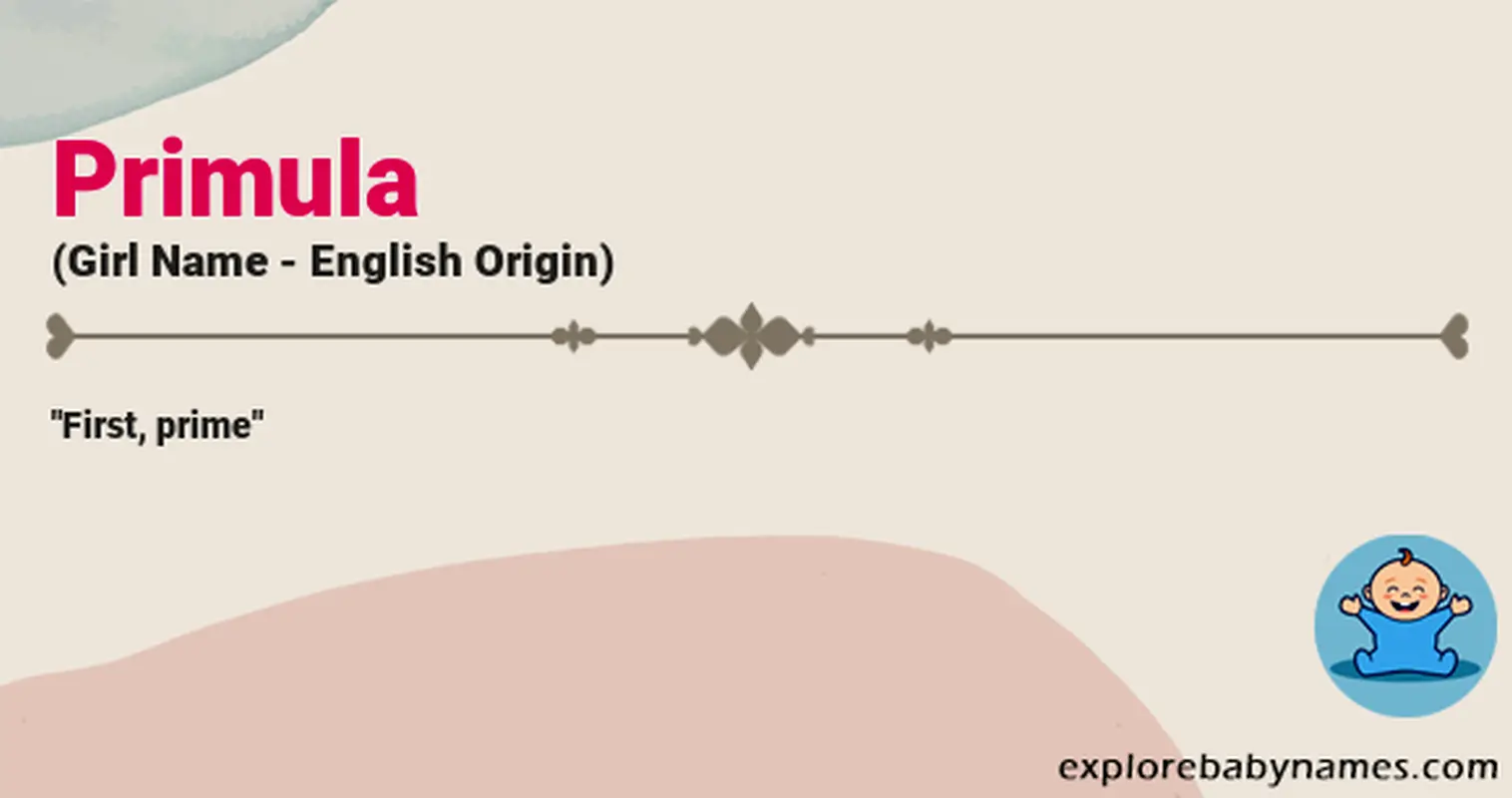 Meaning of Primula