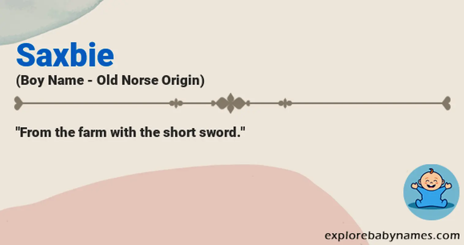 Meaning of Saxbie