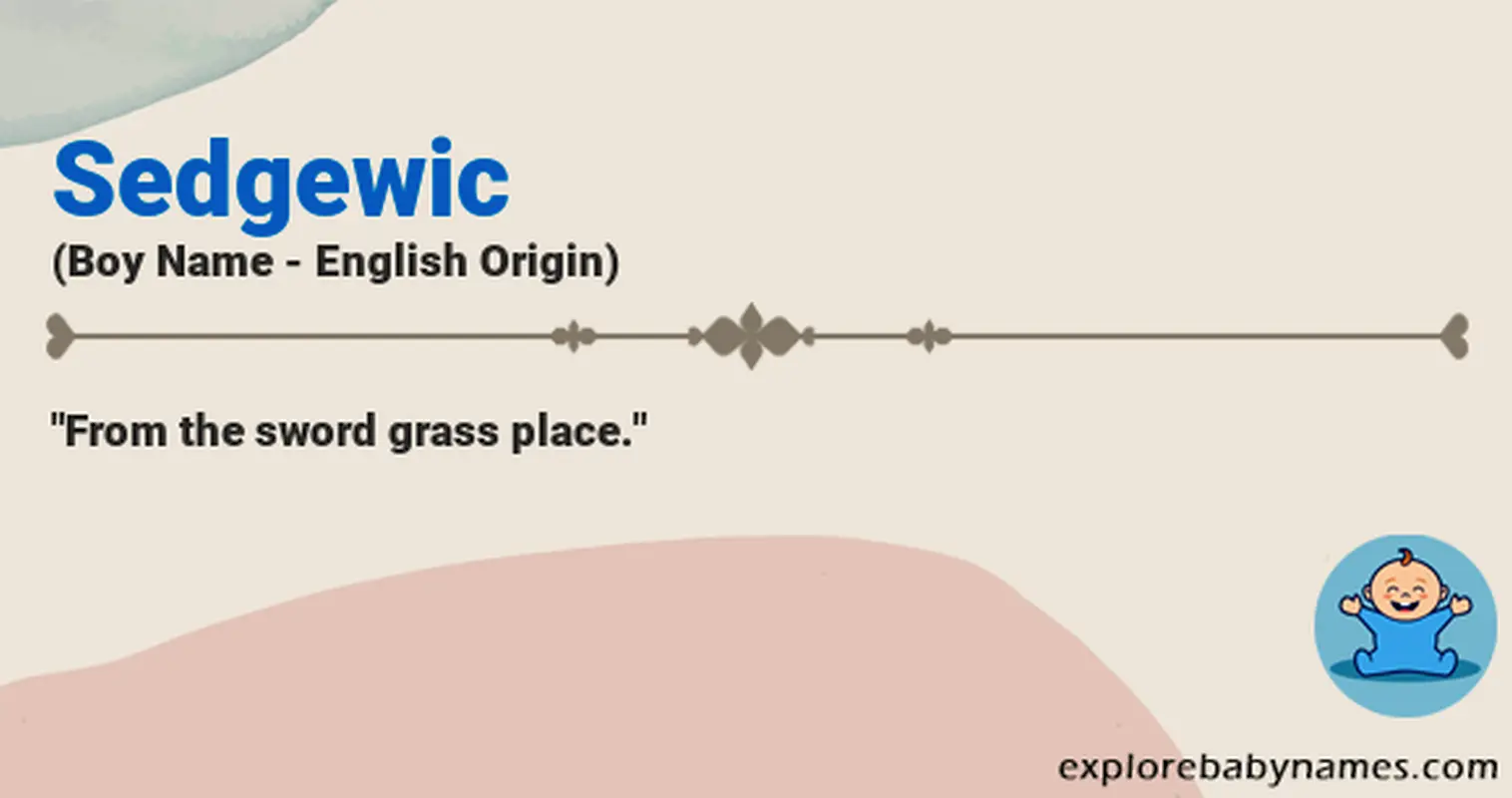 Meaning of Sedgewic