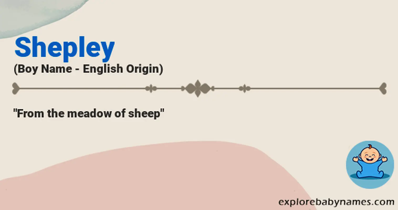 Meaning of Shepley