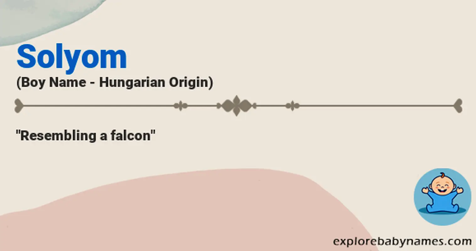 Meaning of Solyom