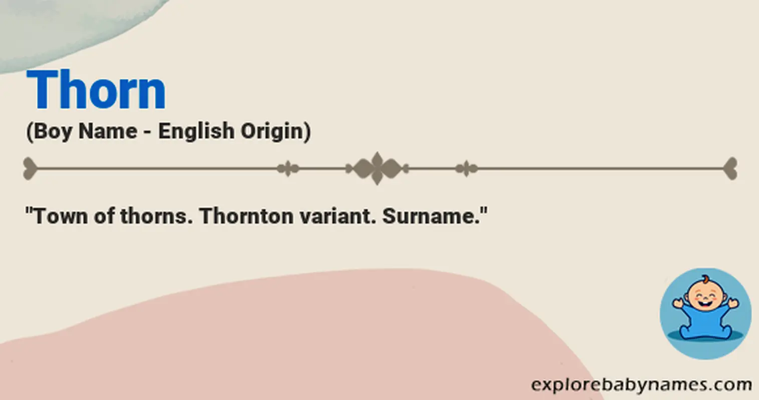 Meaning of Thorn