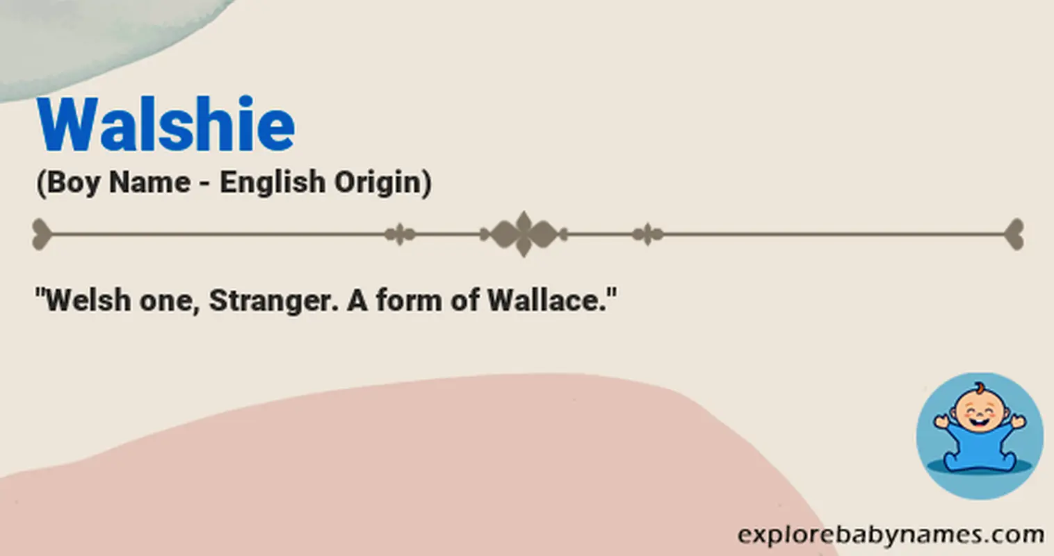 Meaning of Walshie