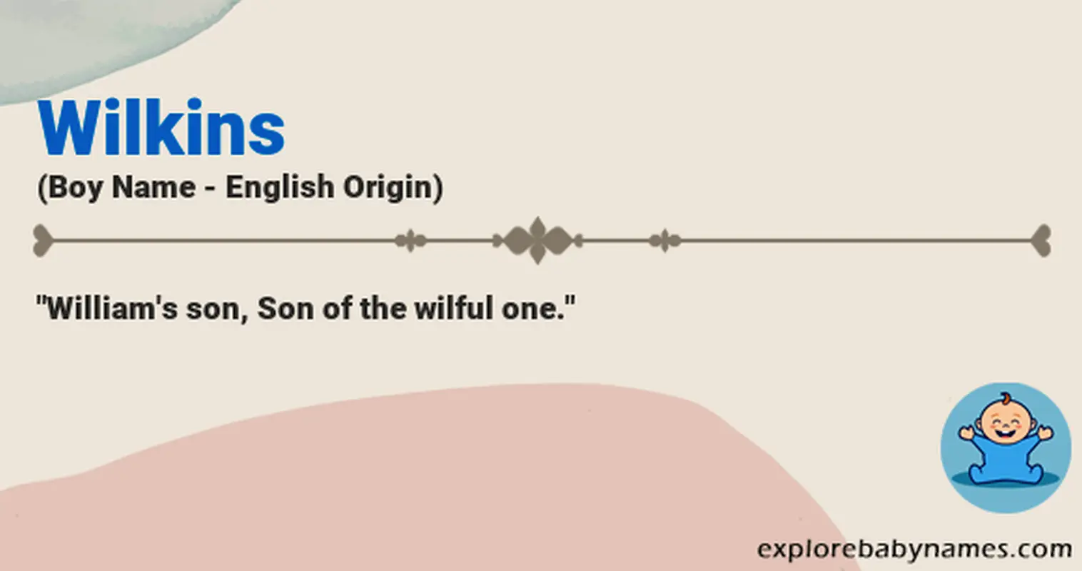 Meaning of Wilkins